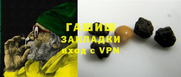 хмурый Аркадак