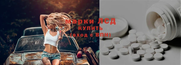 хмурый Аркадак