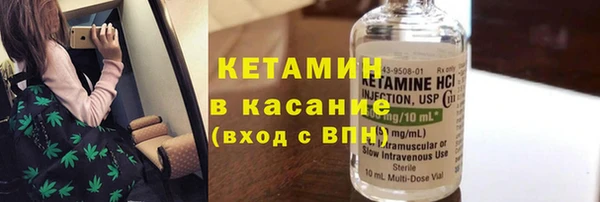 хмурый Аркадак