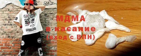 хмурый Аркадак