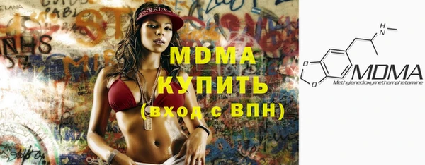хмурый Аркадак