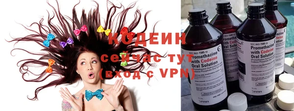 хмурый Аркадак