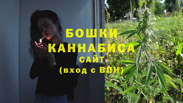 хмурый Аркадак
