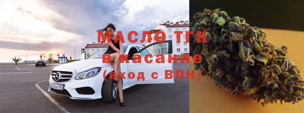 хмурый Аркадак