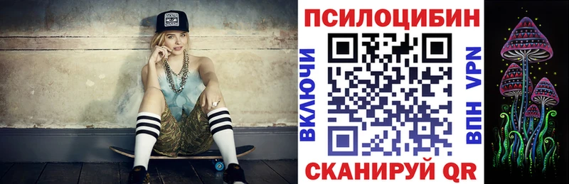Псилоцибиновые грибы GOLDEN TEACHER  Купить где  Пласт 